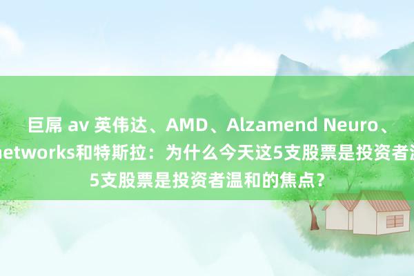 巨屌 av 英伟达、AMD、Alzamend Neuro、palo alto networks和特斯拉：为什么今天这5支股票是投资者温和的焦点？