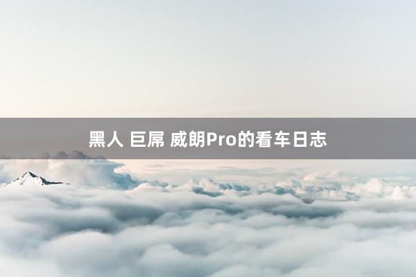 黑人 巨屌 威朗Pro的看车日志