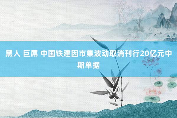 黑人 巨屌 中国铁建因市集波动取消刊行20亿元中期单据